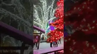 winter wonderland #christmas #travel #winter #holiday #shorts
