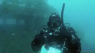 Scuba Diving the F69 Wreck in Wellington