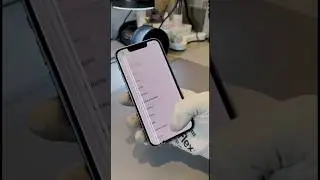 How to fix Green and white lines on iPhone display #shorts