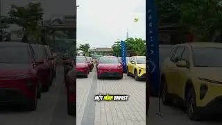 The Vietnamese automotive market just experienced a crazy and emotional year in 2025 🥹