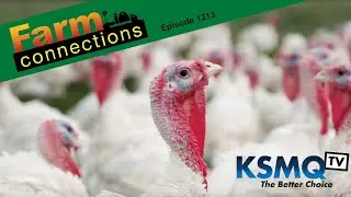Farm Connections (1213)