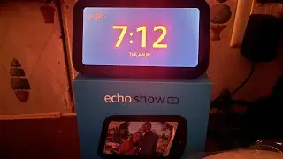 Alexa alarm for your needs sorry about my cats in the background lol