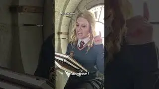 😉#harrypotter #cosplay #hermione #ron #dracomalfoy #poudlard #griffondor