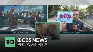 Philadelphia Zoo&rsquo;s After Hours is a chance for everyone to have fun during Labor Day weekend