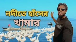 নদীতে ভাসমান হাঁসের খামার | ২৫০০ হাঁস, প্রতিদিন ১৫০০+ ডিম! | Floating Duck Farm in Jamalpur