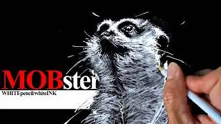 The Most Loyal Animal in Africa: Meerkat's Portrait
