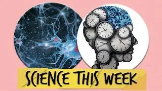 Why Time Speeds Up When You Age | SCIENCE THIS WEEK