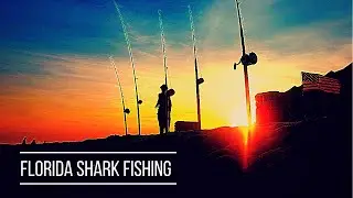 Shark Fishing 5 days in a Row!- Pensacola, Florida