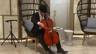 Cello para importantes eventos 9981489603