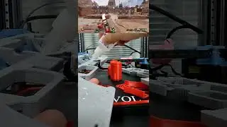 🔎Apex Legends-Wingman