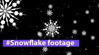 #Snowflake overlay background animation_Free project animation