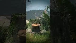 Environment Design