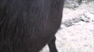 Crunching Rocks Barefoot