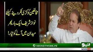 PMLN to stage power show in Haripur