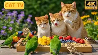 Cat TV Birds & Squirrels 🌅 Golden Hour Garden 4K | Nature View for Cats