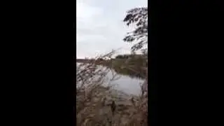 Duck Hunt near Lipan Texas 11-16-2013 