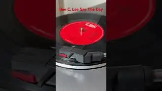 Dee C. Lee - &lsquo;See The Day&rsquo; vinyl 1985