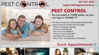 HUG GROUP Toronto Pest Control&reg; | Cockroach, Rats, Bedbug, Mattress,  Natural Treatment & Protection