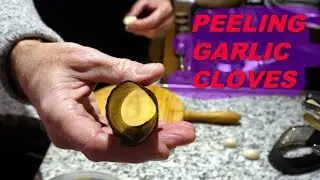 Peeling garlic cloves with a squeezy implement that I got for Christmas.