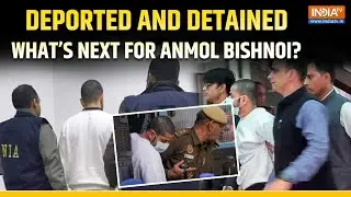 Anmol Bishnoi&rsquo;s Journey from US Deportee to India&rsquo;s Infamous Most Wanted Gangster