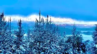 Don't Leave Me Cold