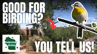 Calling All Birding Enthusiasts: Share Your Favorite Hotspots with Us!