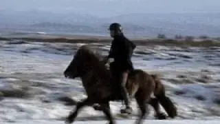 HEIDREKUR IS2003188502