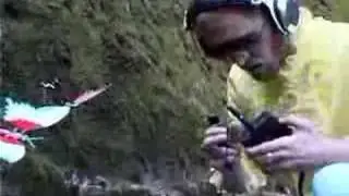 Never give in - Los Fancy Free