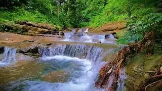 Sleep Sounds with Nature | Gentle River White Noise for Rest & Relaxation