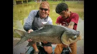 Castaway Fishing Park...crazy action! (November 2018)