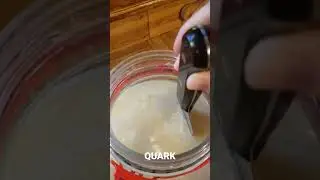 Quark