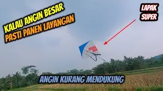 MORO LAYANGAN DI TEMPAT BARU | HOBI OM