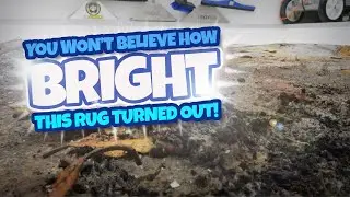 You Won&rsquo;t Believe How BRIGHT This Rug Gets! Satisfying ASMR Carpet Cleaning.