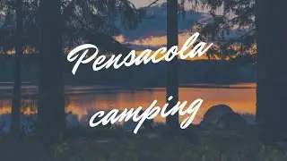 ✨WE WERE GATOR BAIT!!!✨OFF GRID CAMPING IN PENSACOLA FLORIDA ✨MUST WATCH!!✨