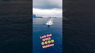 NFS (Need For speed) Maldives Version 🛥️🚀  #travel #maldives #speedboat #shorts