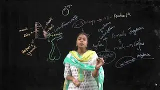 oxytocin  drug part 1