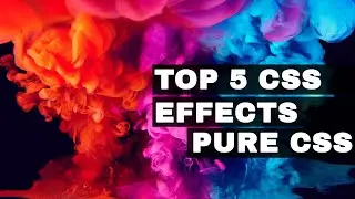 Top 5 Amazing and Simple CSS Effects