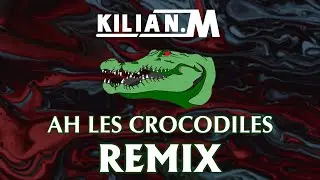 Ah les crocodiles (Kilian M. Remix)
