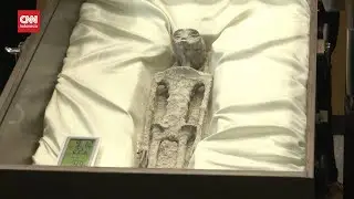 Begini Wujud 2 Jasad Diduga Alien di Meksiko