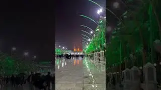 zamana tumhara ya husain noha nadeem sarwar #subscribe #yaali #nohahazratabbas #nadeemsarwar #shorts