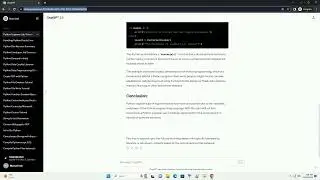 python engineer job description