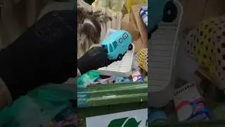 achadinhos #youtubeshorts #viral #dumpsterdiving #reciclagem #brasil