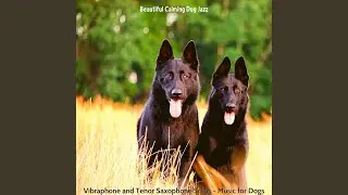 Fashionable Dogs