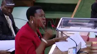 MPs share why they want new O-level curriculum suspended