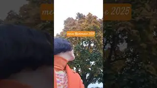 Meine Buchmesse 2025 | H&ouml;hen und Tiefen ♡