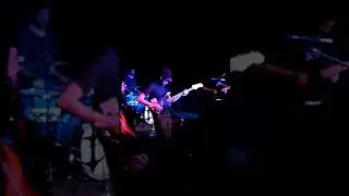 TTNG Cat Fantastic Live November 16, 2014