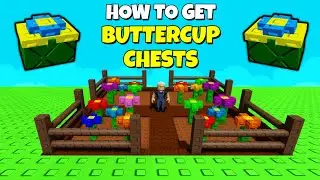 How to get more BUTTERCUP CHESTS in Grow a Garden ROBLOX