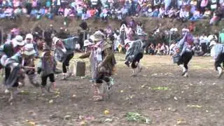 amaru de vinchos.