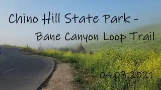 Chino Hill State Park -Bane Canyon Loop Trail