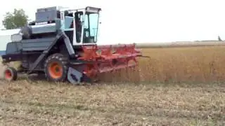 Gleaner F harvesting soybeans Fall 2009